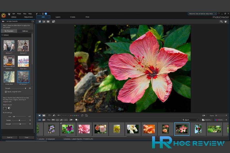 PhotoDirector