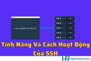 SSH Là Gì? Tính Năng Và Cách Hoạt Động Của SSH