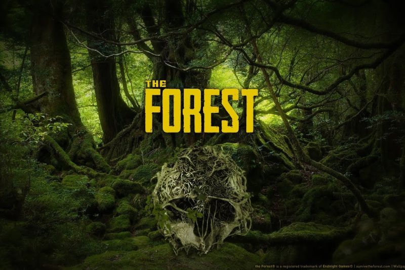 The Forest