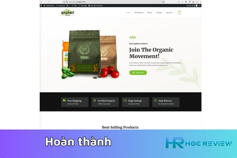 hoan thanh astra theme