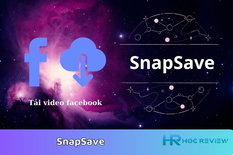 Tải video Facebook khi dùng SnapSave 