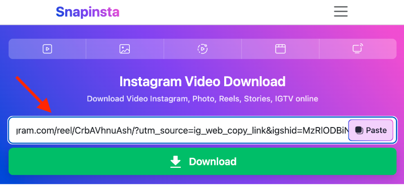 Dán URL vào Snapinsta.App - Insta Downloader trong khu vực hộp văn bản ở trên.